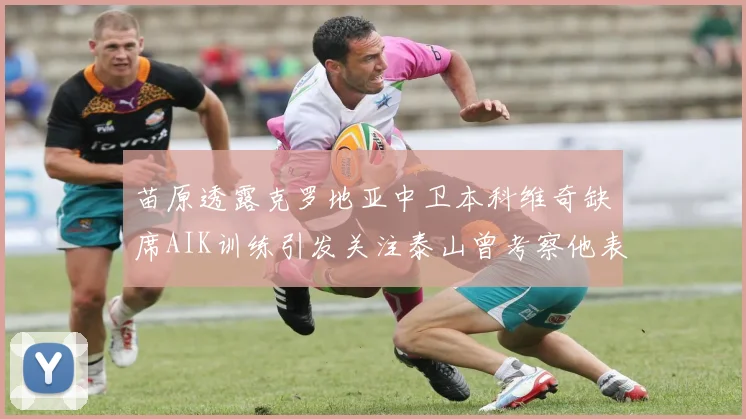 苗原透露克罗地亚中卫本科维奇缺席AIK训练引发关注泰山曾考察他表现