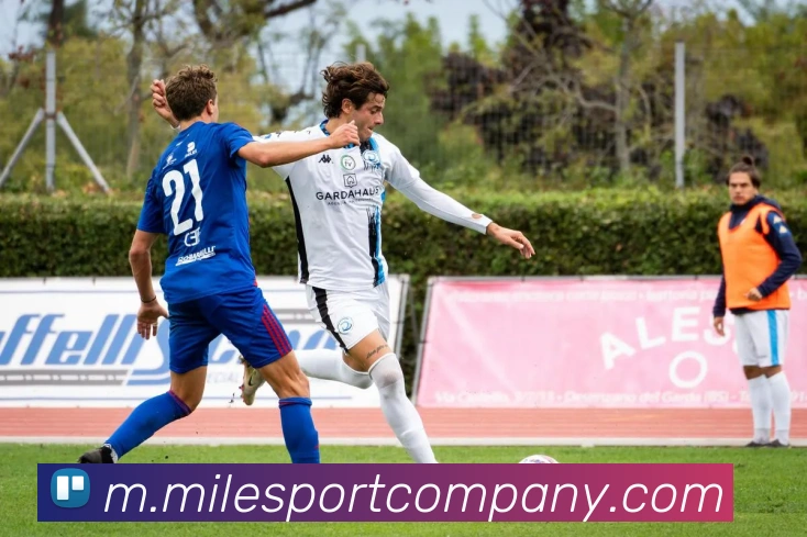 米乐足球服务体系